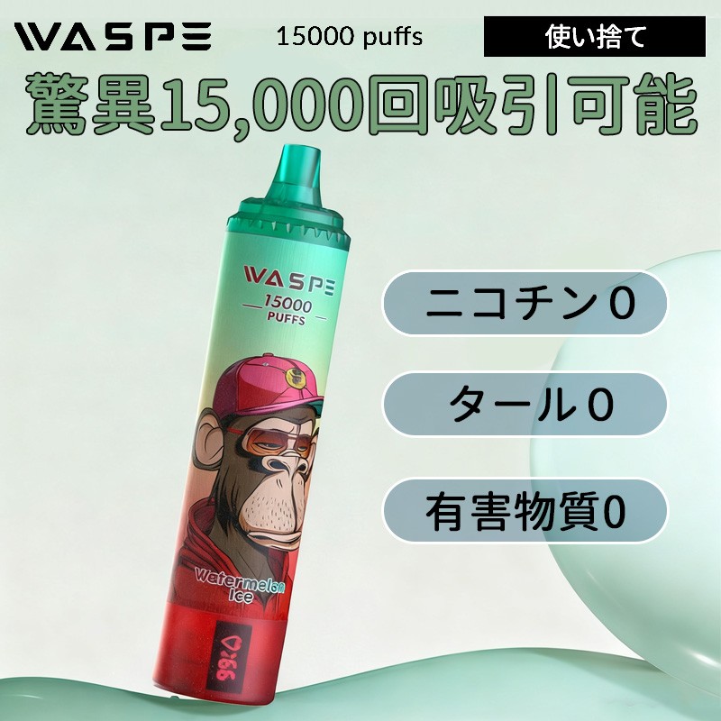 waspe 15000 03