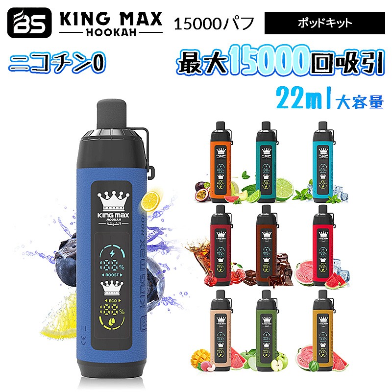 bs kingmax hookah kit
