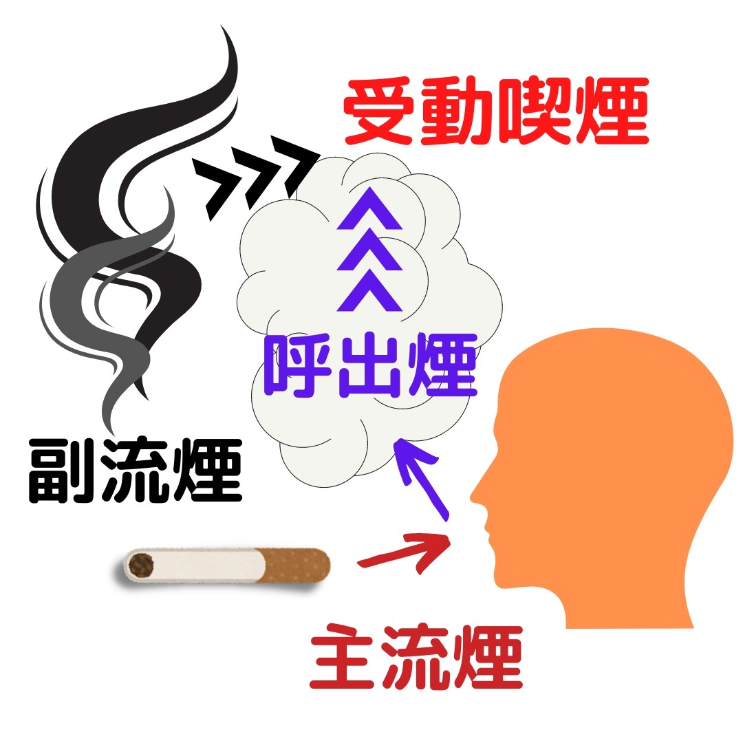 紙巻タバコ 副流煙 紙巻タバコ 副流煙