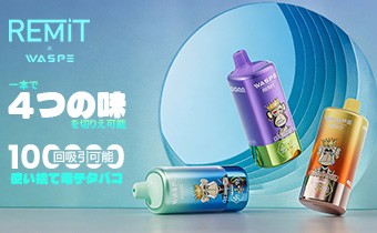 WASPE & Remit 100000 4-in-1使い捨て電子タバコ 56ml 5%