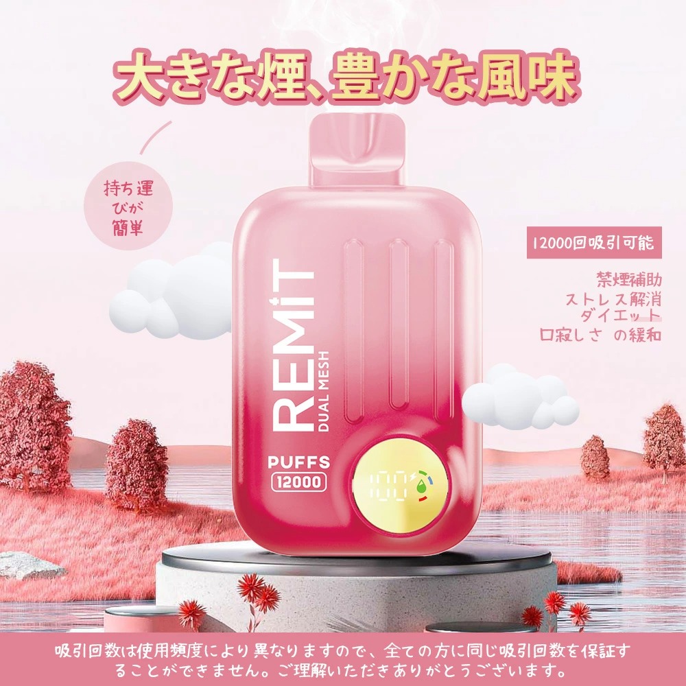 remit koimist 使い捨て ベイプ 初心者向け