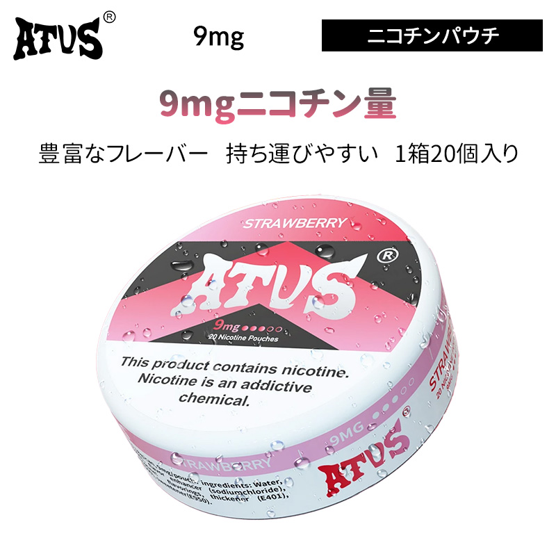 ATVS 9mg ニコチンパウチ（20個入り） 【Vapesourcing】